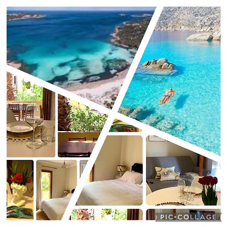 Nest House - Esclusivo Appartamento Marina Di Olbia- Mater Olbia - Beaches - Close To The Airport - Private Parking- Full Comforts - Eksteriør billede