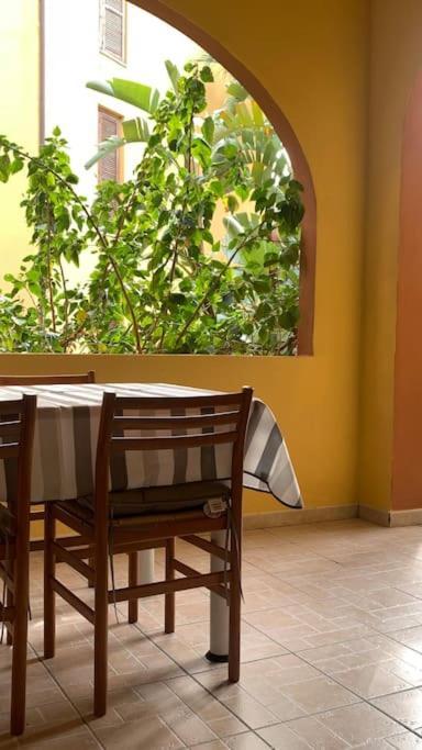 Nest House - Esclusivo Appartamento Marina Di Olbia- Mater Olbia - Beaches - Close To The Airport - Private Parking- Full Comforts - Eksteriør billede