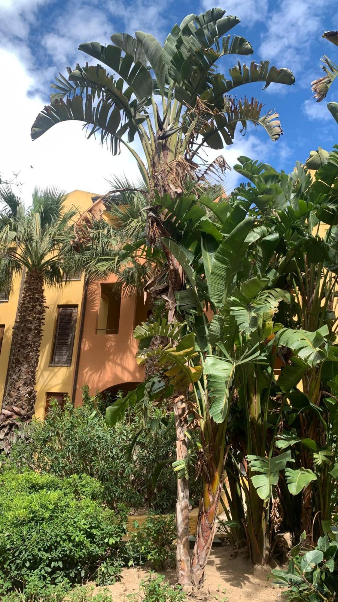 Nest House - Esclusivo Appartamento Marina Di Olbia- Mater Olbia - Beaches - Close To The Airport - Private Parking- Full Comforts - Eksteriør billede