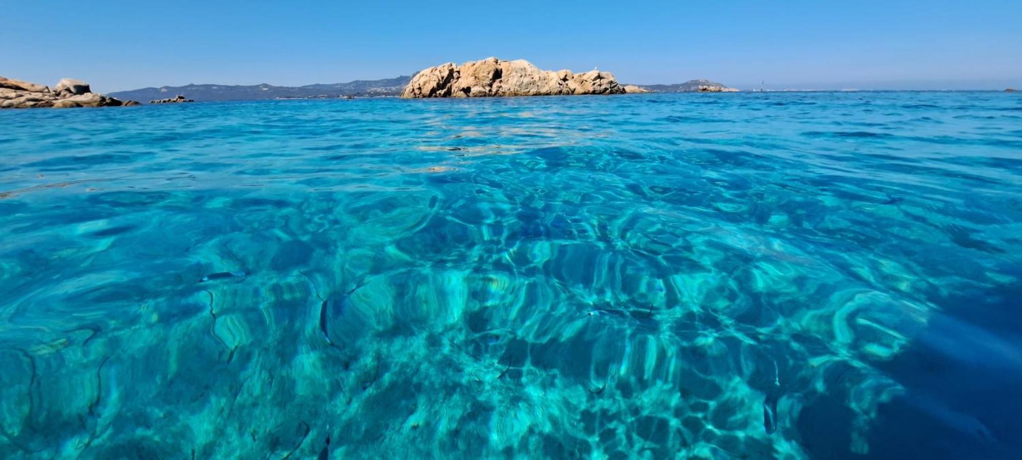 Nest House - Esclusivo Appartamento Marina Di Olbia- Mater Olbia - Beaches - Close To The Airport - Private Parking- Full Comforts - Eksteriør billede